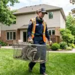 wildlife-trapping-webp
