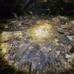 attic-cleaning-cherryland-JPG