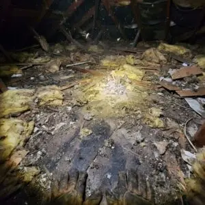 attic-cleaning-cherryland-JPG