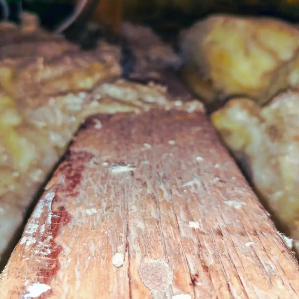 san-leandro-attic-insulation-JPG