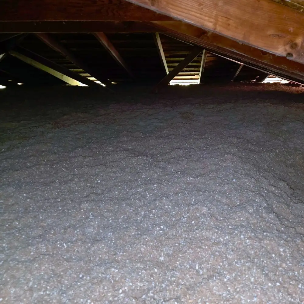 Cellulose-Insulation-JPG
