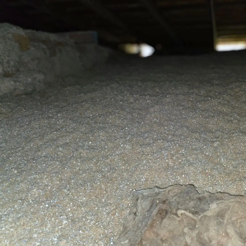 Cellulose-Insulation-JPG