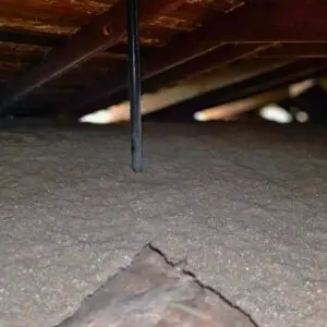 Cellulose-Insulation-JPG