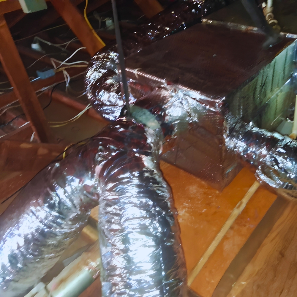Insulation work inside a real Sausalito attic — Sausalito's 1930s–1940s Bridgeway cottages and cliffside wooden homes often need full-depth cellulose after decades of bay-salt exposure and marine-layer moisture