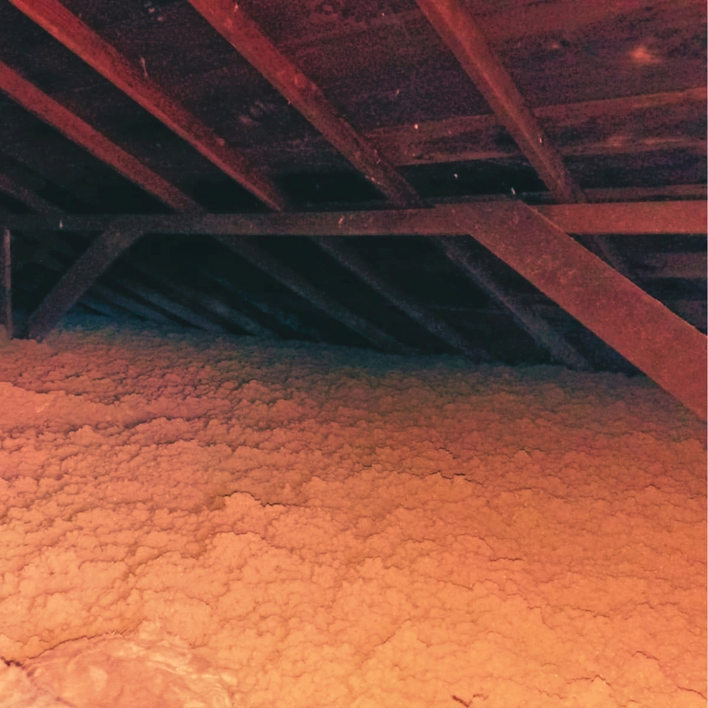 Insulation work inside a real Tiburon attic — Tiburon's mid-century ranches along Tiburon Boulevard and waterfront homes near the ferry landing often need full-depth cellulose after four decades of bay-salt moisture