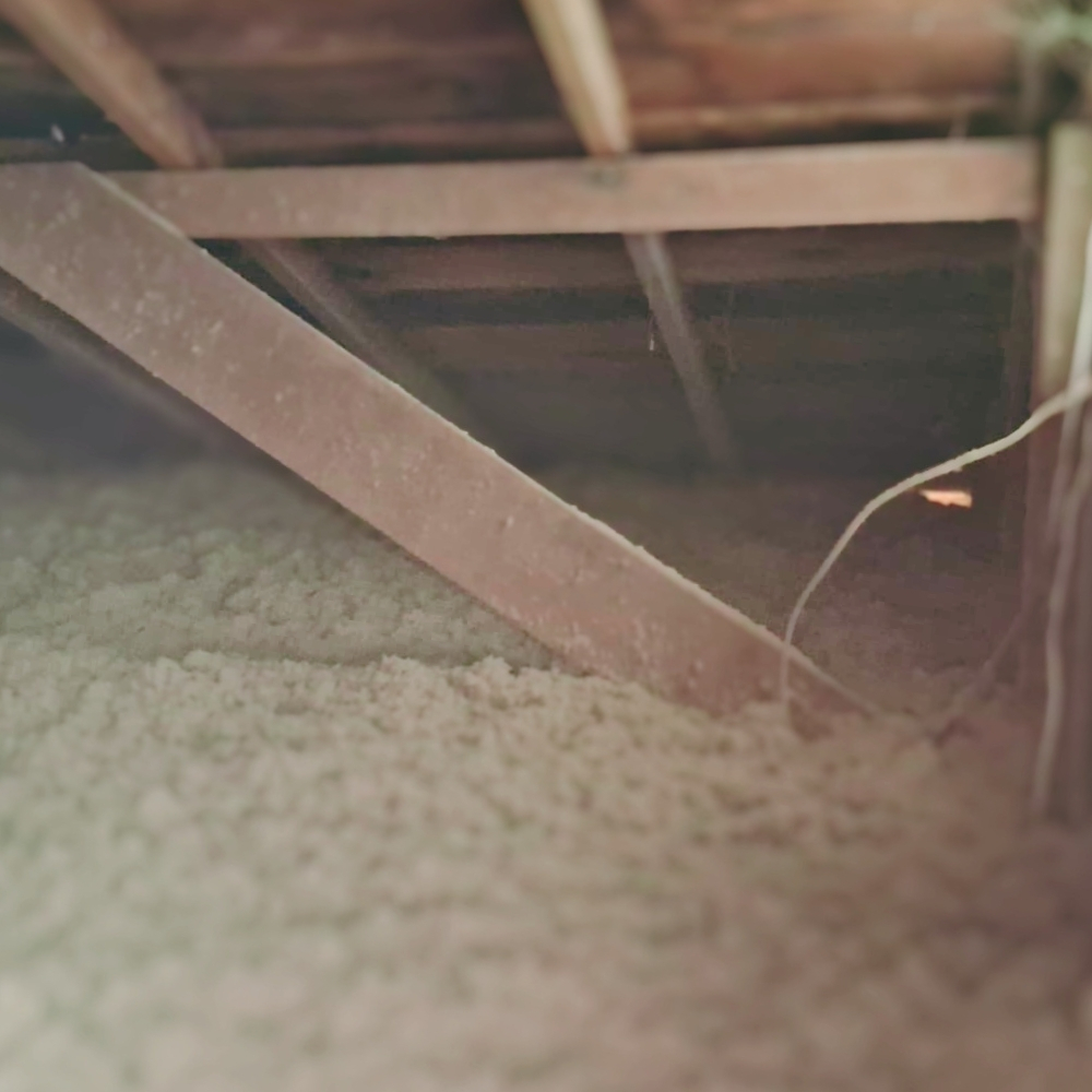 Insulation work inside a real Corte Madera attic — Eichler mid-century homes in Chapman and waterfront cottages in Paradise Cay often need full-depth cellulose after decades of marine-layer moisture
